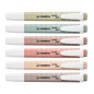 Marqueurs fluorescents Stabilo Swing Cool Naturecolors x6