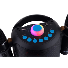 Enceinte karaoké portable Bluetooth 5.4 Daewoo DW3008 15 W - 2 microphones sans fil - Lumières LED - Radio FM - USB/SD/Aux