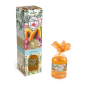 Désodorisant Prady Magic Flower Tropic Papaye - Flacon en verre de 100 ml