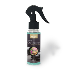 Désodorisant pour voiture Prady Ritual Spa - Flacon de 100 ml - Flacon vaporisateur