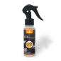 Désodorisant pour voiture Prady Mangue - Flacon de 100 ml - Vaporisateur