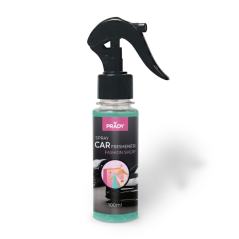 Désodorisant pour voiture Prady Fashion Shop - Flacon de 100 ml - Vaporisateur
