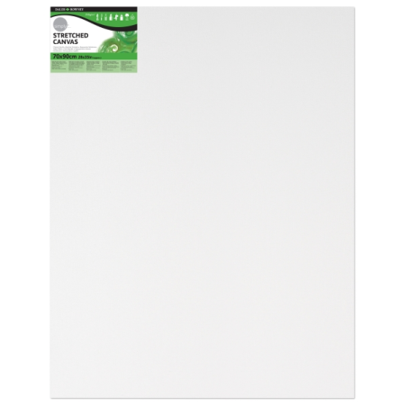 Toile tendue Daler Rowney - 60 x 90 cm - Triple apprêt - Grain moyen - 100 % coton sans acide - 250 g - Blanc