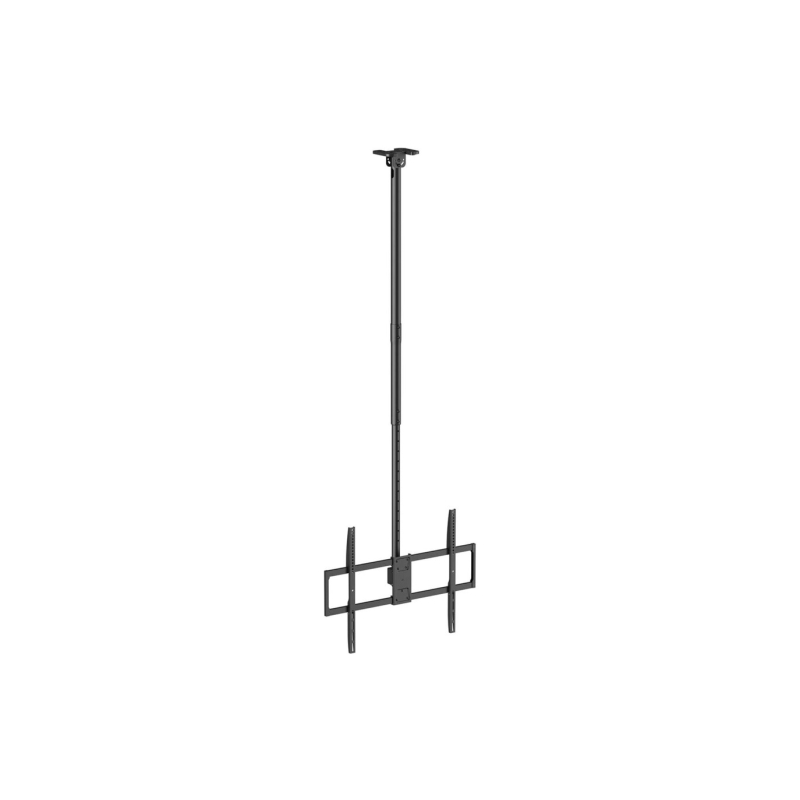 Support plafond pivotant Aisens Pro - Inclinable, extensible et nivelable - De 50" à 100" - Poids maximal 80 kg - VESA maximal