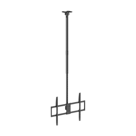 Support plafond pivotant Aisens Pro - Inclinable, extensible et nivelable - De 50" à 100" - Poids maximal 80 kg - VESA maximal