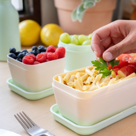 Boîte à lunch carrée Milan Collection 430 0,33 L - Compatible micro-ondes, lave-vaisselle et congélateur - Sans BPA