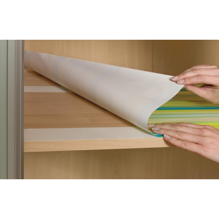 Tesa Ruban Adhésif Double Face Universel 50 mm x 10 mètres - Pour Fixer les Tapis sur Différentes Surfaces - Pour l'Artisanat