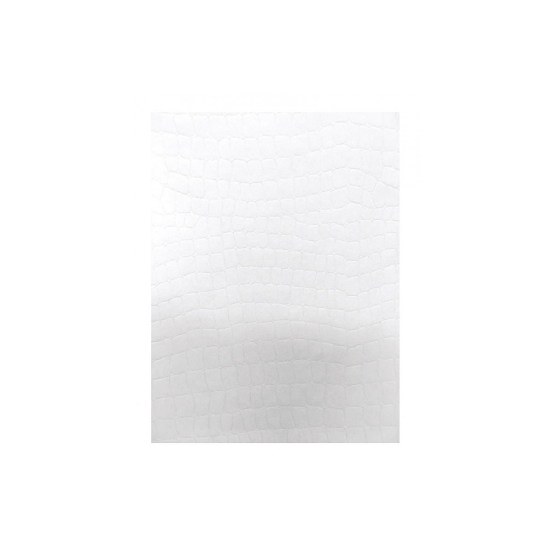 Apli Pack de 20 feuilles de papier texture peau de serpent - Idéal pour les occasions spéciales - Compatible imprimantes jet