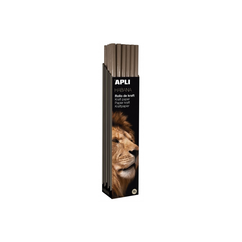 Rouleau papier kraft 70g Apli fibres naturelles emballage