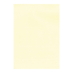 Apli Pack de 100 Feuilles de Papier Vergé - Haute Qualité - 100gr - Adapté pour Imprimantes et Écriture Manuelle - Couleur Crème