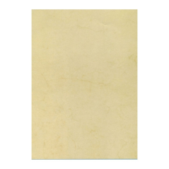 Apli Pack de 10 Feuilles de Papier Texture Havane A4 - 200gr - Idéal pour Invitations et Communications - Compatible Jet