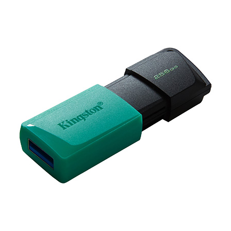 Clé USB Kingston DataTraveler Exodia M 256 Go