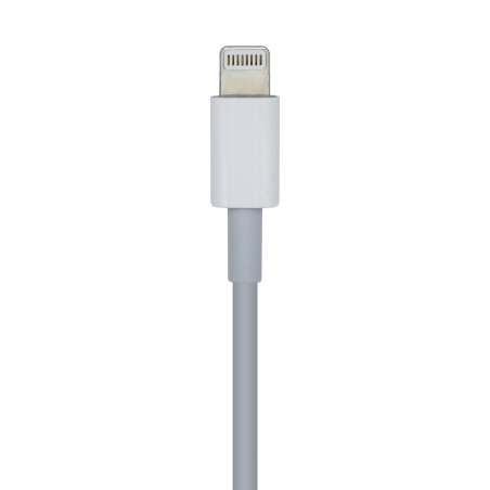 Câble Aisens Lightning vers USB-C USB 2.0 - Lightning/M-USB-C/M - 2.0m - Couleur Blanc