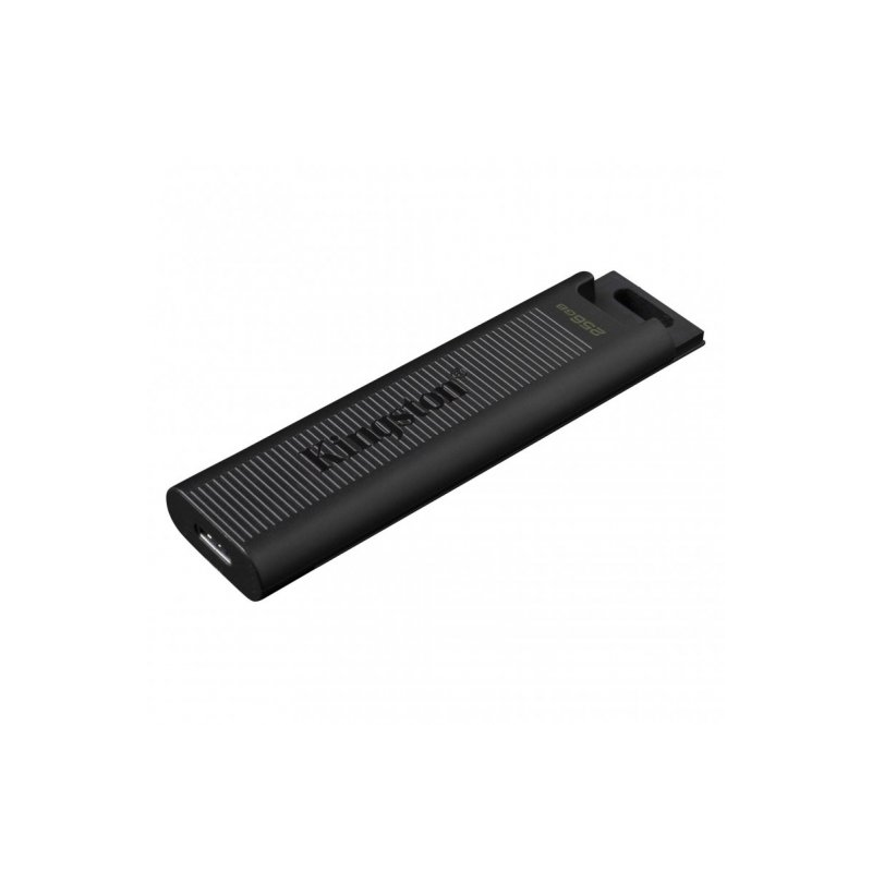 Kingston DataTraveler Max Mémoire USB-C 3.2 Gen 2 256 Go - Couleur Noir (Clé USB)