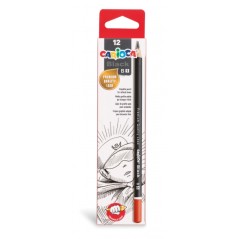 ✅ Carioca Black B Lot de 12 Crayons Graphite - Faciles à effacer et à tailler - Corps Triangulaire Agréable a en stock