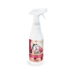 Désodorisant d'intérieur Prady Fashion Duty Shop - Flacon de 700 ml - Vaporisateur
