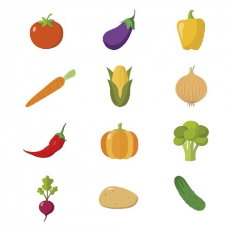 Apli Rouleau de Gomets Végétaux - Adhésif Permanent - 900 Gomets - Formes Assorties - Idéal pour les Maternelles - Développe la