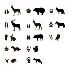 Apli Rouleau de Gomets Empreintes d'Animaux de la Forêt - Adhésif Permanent - 900 Gomets - Favorise la Psychomotricité Fine