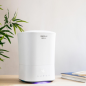 Humidificateur d'air chaud Cecotec Breeze Care 3500 - Capacité 5,5 L - Débit d'air 400 ml/h - Filtre céramique - Surface