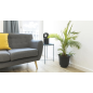 Chauffage électrique sans pales Cecotec ReadyWarm 8400 - 1500 W - Technologie sans pales - Contrôle Wi-Fi - Fonction