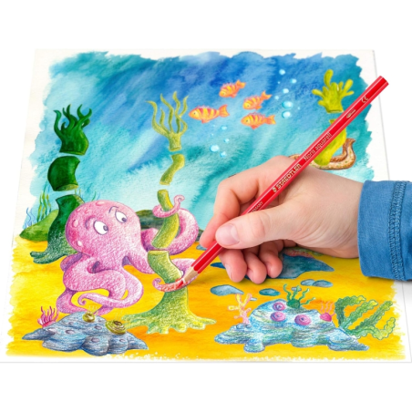 Coffret de 36 crayons de couleur hexagonaux Staedtler Noris Aquarell + pinceau - Mine renforcée pour une meilleure résistance à