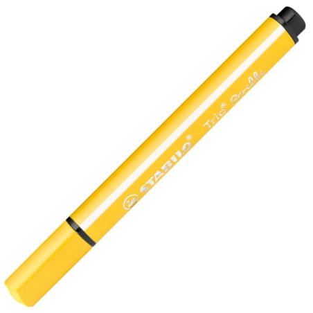 Lot de 8 feutres Stabilo Trio Scribbi - Pointe de 1,5 à 2 mm - Forme triangulaire - Encre lavable - Couleurs assorties