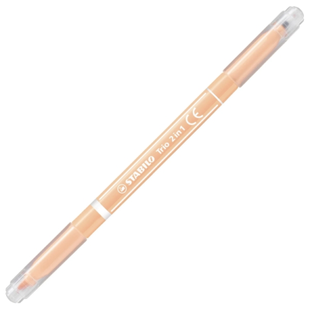 Lot de 10 marqueurs Stabilo Trio 2-en-1 à double pointe (fine 0,5 mm et large 2 mm), encre lavable, zone de préhension