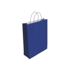 LOT de 25 Sac en papier cellulose Bismark - Dimensions : 37 x 12 x 27 cm - Bleu