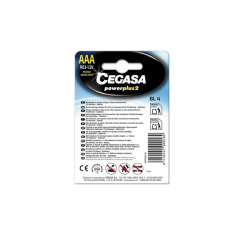 Cegasa Power Plus Lot de 2 piles R06 AAA (4 pièces) - Piles salines pour appareils basse consommation