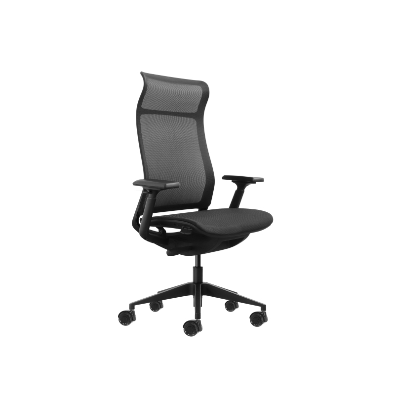 Chaise de bureau ergonomique Oqonos Cherg 028 avec dossier et assise en maille élastique, mécanisme d'auto-équilibrage
