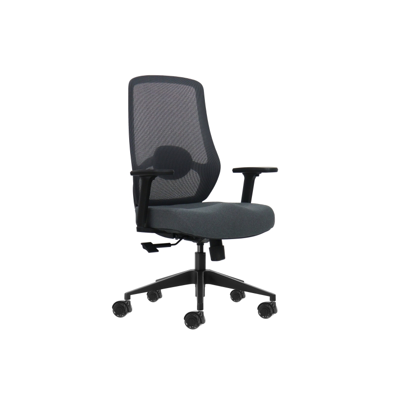 Fauteuil de bureau ergonomique Oqonos Cherg 025 avec soutien lombaire réglable en hauteur et en profondeur, accoudoirs 4D