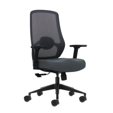 Fauteuil de bureau ergonomique Oqonos Cherg 025 avec soutien lombaire réglable en hauteur et en profondeur, accoudoirs 4D