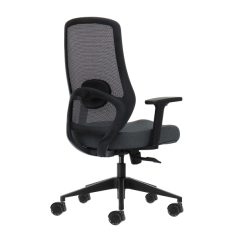 Fauteuil de bureau ergonomique Oqonos Cherg 025 avec soutien lombaire réglable en hauteur et en profondeur, accoudoirs 4D