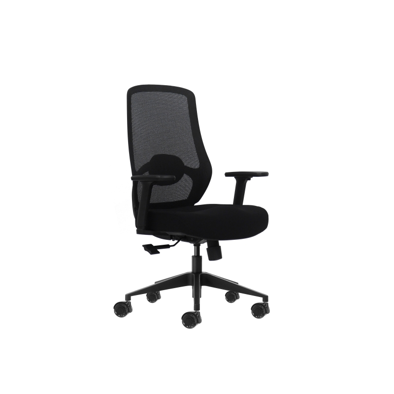 Fauteuil de bureau ergonomique Oqonos Cherg 024 avec soutien lombaire réglable en hauteur et en profondeur, accoudoirs 4D