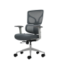 Chaise de bureau ergonomique Oqonos Cherg 015 avec dossier et assise en maille élastique, accoudoirs 4D, assise coulissante