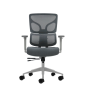 Chaise de bureau ergonomique Oqonos Cherg 015 avec dossier et assise en maille élastique, accoudoirs 4D, assise coulissante
