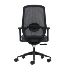 Chaise de bureau ergonomique Oqonos Cherg 002 avec soutien lombaire réglable en hauteur et en profondeur, dossier en maille