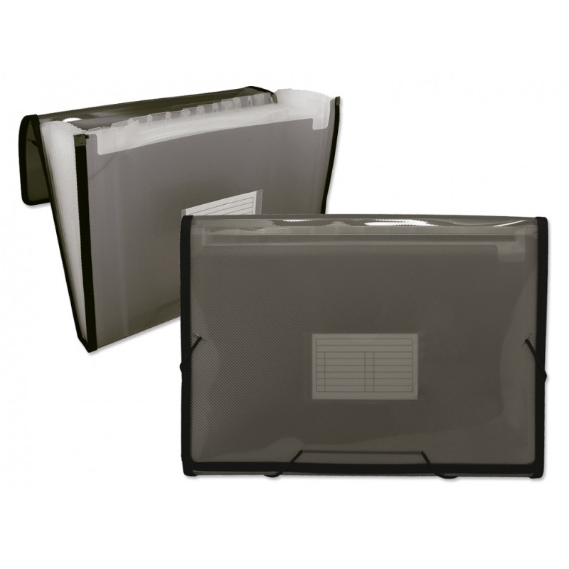 Ingraf Cadre Dossier Soufflet 13 Pochettes - Polypropylène Translucide - Elastiques et Rabats - Format A4