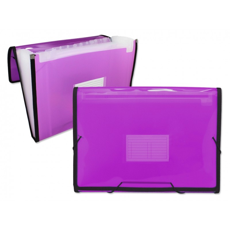 Ingraf Cadre Dossier Soufflet 13 Pochettes - Polypropylène Translucide - Elastiques et Rabats - Format A4