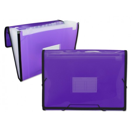 ✅ Ingraf Cadre Dossier Soufflet 13 Pochettes - Polypropylène Translucide - Elastiques et Rabats - Format A4 cou en stock