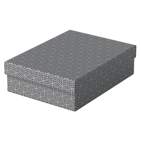 ✅ Esselte Pack de 3 Boîtes de Rangement Moyennes avec Couvercle 265x100x360mm - Carton 100% Recyclé et Recycla en stock