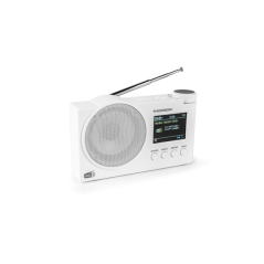 Radio FM Thomson DAB+ avec haut-parleur Bluetooth - 30 préréglages DAB+ et 30 préréglages FM - Mise à jour automatique des
