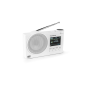Radio FM Thomson DAB+ avec haut-parleur Bluetooth - 30 préréglages DAB+ et 30 préréglages FM - Mise à jour automatique des