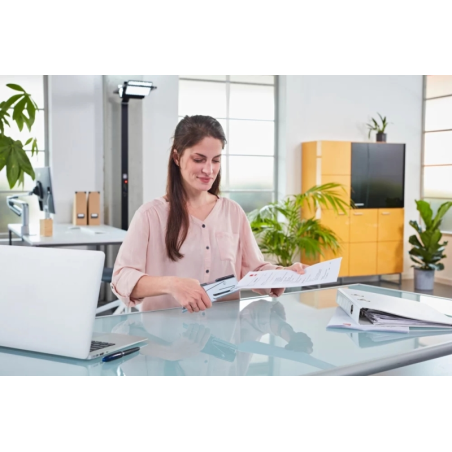Agrafeuse à pince Novus B 38 - Jusqu'à 40 feuilles - Pour agrafes 24/6-24/8 et 26/6-26/8 - Agrafage temporaire et permanent - Co
