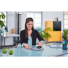 Perforatrice Novus E210 - Jusqu'à 10 feuilles - Guide de positionnement - Perforations de 5,5 mm - Noire