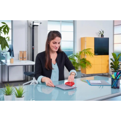 Perforatrice Novus E210 - Petit format (jusqu'à 10 feuilles) - Guide de positionnement - Perforations de 5,5 mm - Rouge