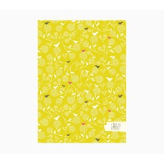 ✅ Cahier Pictura A5 - 15x21 cm - 48 pages lignées - Papier certifié FSC couleur Plusieurs couleurs en stock