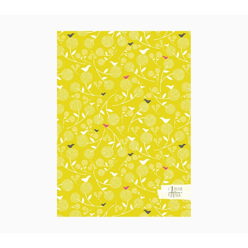 Cahier Pictura A5 - 15x21 cm - 48 pages lignées - Papier certifié FSC