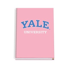 ✅ Dohe Cahier à Spirale A4 - 228x300 mm - Couverture Rigide avec Carton Ligné - 100 Feuilles de Papier Offset en stock