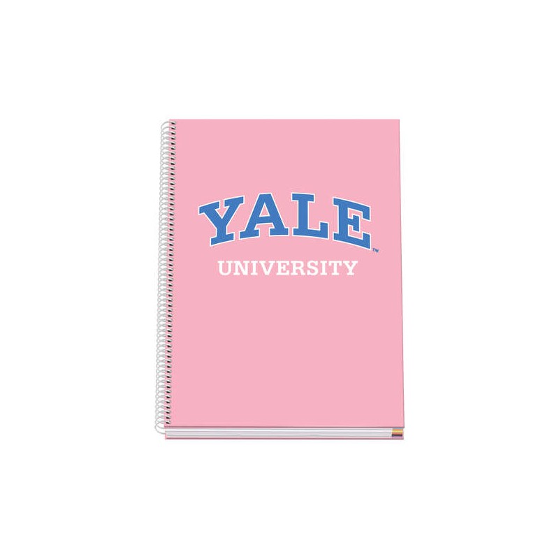 Dohe Cahier à Spirale A4 - 228x300 mm - Couverture Rigide avec Carton Ligné - 100 Feuilles de Papier Offset 90gr - Quadrillage